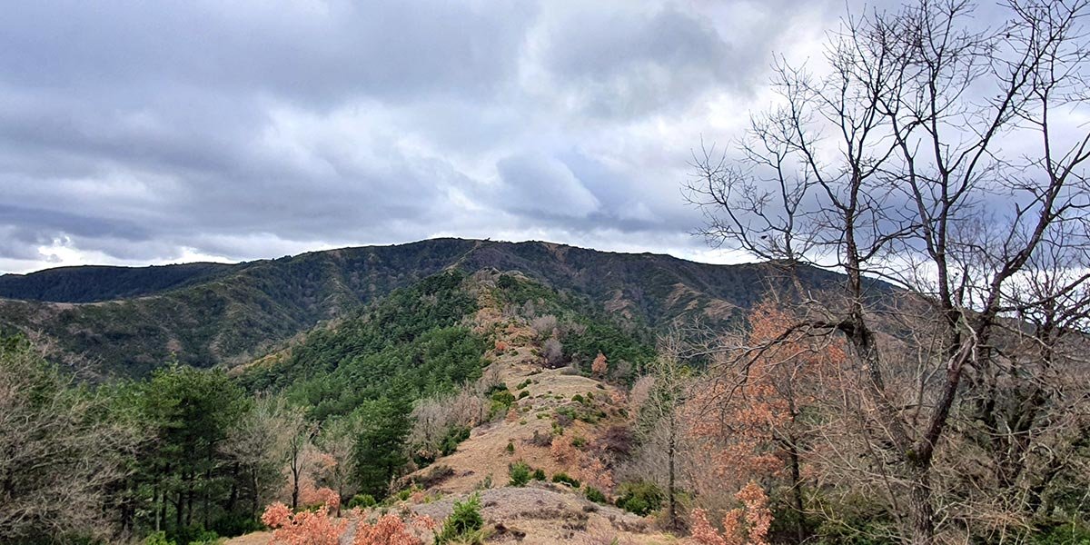 Imagen de la Sierra de Santo Domingo, uno de los espacios medioambientales más destacados de la Comarca de Cinco Villas