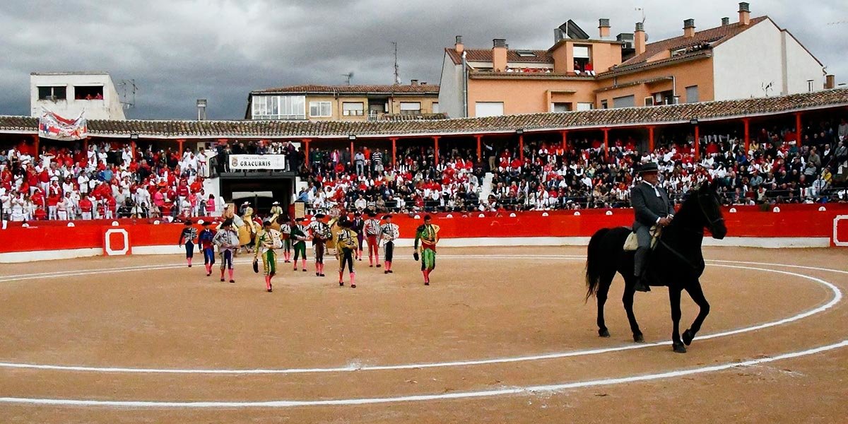 Imagen de la plaza de toros Corella durante un festejo