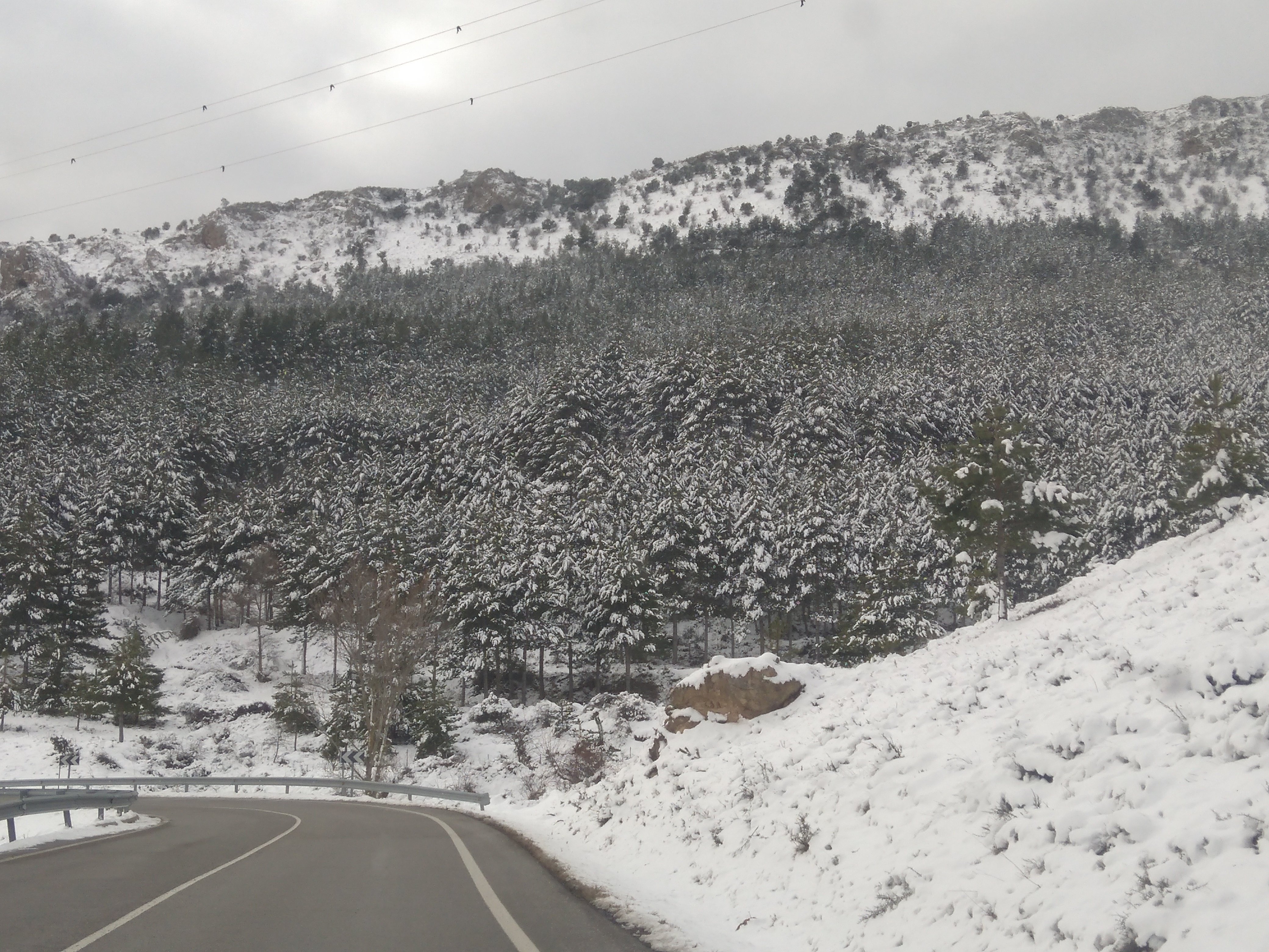 Fotos de la nevada en Pamplona: Las bellas estampas de la nieve
